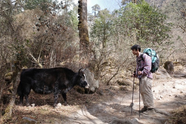 「Midnight Pizza Club 1st BLAZE Langtang Valley」