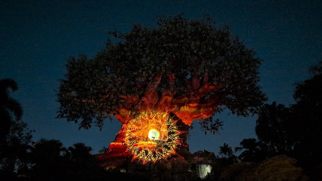 アニマルキングダムのナイトショーが『ライオン・キング：ムファサ』バージョンに！フロリダ WDW