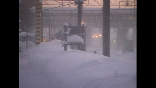 『どうすればよかったか？』(C)2024 動画工房ぞうしま