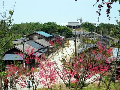 紅い桜。日本で育つと桜ってすごーく心に沁みるんですね。見るだけで切ない。