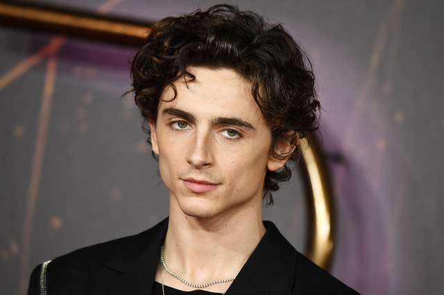 ティモシー・シャラメ Photo by Jeff Spicer/Jeff Spicer/Getty Images for Warner Bros