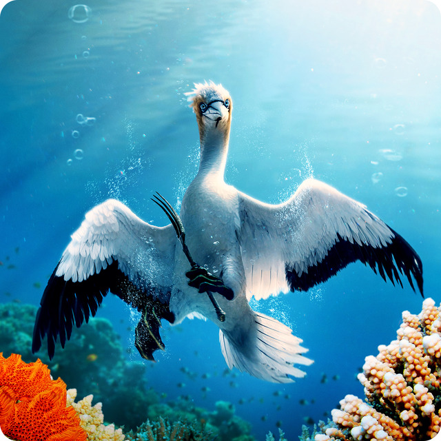 『リトル・マーメイド』©2025 Disney