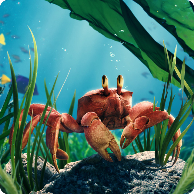 『リトル・マーメイド』©2025 Disney