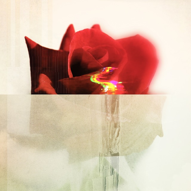 神はサイコロを振らない「Lovey Dovey」