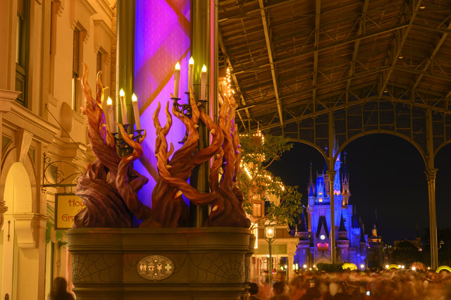 今年の“Dハロ”は全身仮装の対象外期間あり！「ディズニー・ハロウィーン」開催中の約2週間（写真は昨年の様子