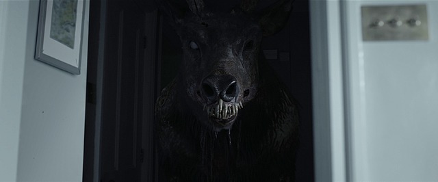 『子鹿のゾンビ』© 2025 ITN Distribution Inc. All Rights Reserved.