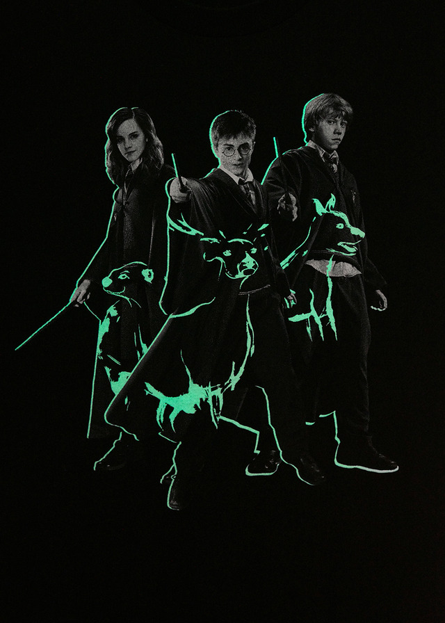 『ハリー・ポッター』コラボレーションアイテム© & ™ Warner Bros. Ent. Publishing Rights © JKR. (s25)