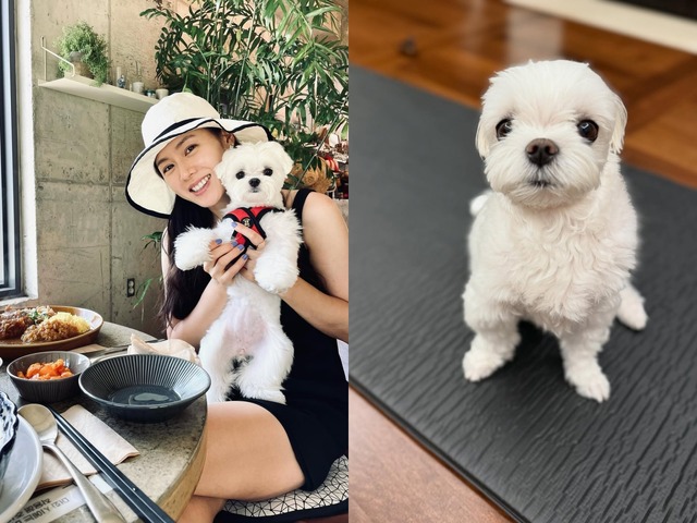 『愛の不時着』ソン・イェジン、愛犬とのささやかな日常に“ほっこり”。「おやつも食べたのに…」【PHOTO】