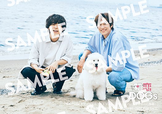 「初恋DOGsオフィシャルフォトブック ～快とソハ、もうひとつの物語～」TBS販路限定 特典　発行：ワニブックス