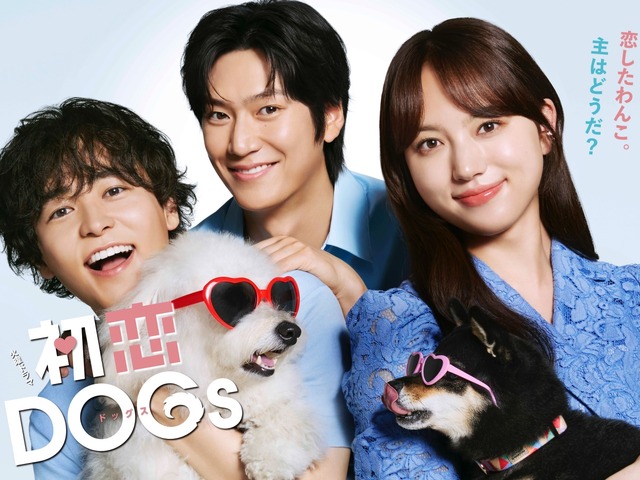 ナ・イヌ主演『初恋DOGs』でワンコにハマった人へ…犬が名脇役として輝く韓国ドラマ3選！