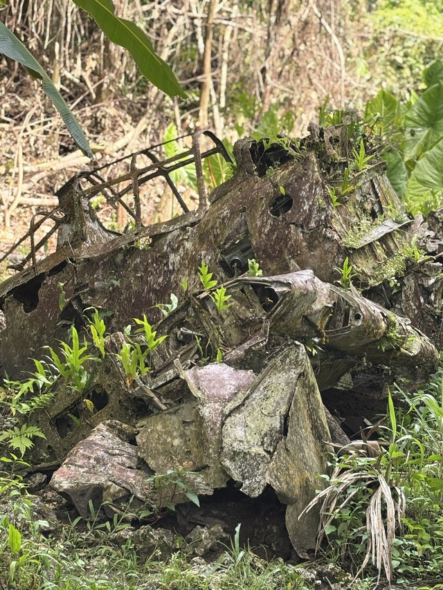 零式艦上戦闘機五二型 跡『ペリリュー －楽園のゲルニカ－』©武田一義・白泉社／2025「ペリリュー －楽園のゲルニカ－」製作委員会