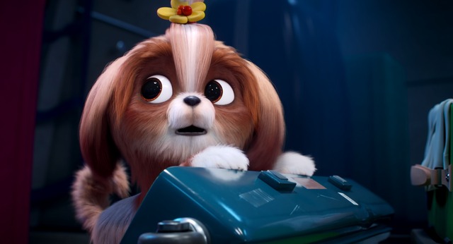 『ペット2』© 2019 Universal City Studios Production LLLP. All Rights Reserved.