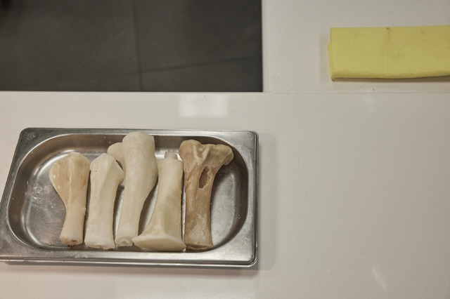 『ムガリッツ』©2024 TELEFONICA AUDIOVISUAL DIGITAL, S.L.U