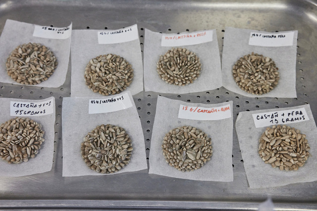 『ムガリッツ』©2024 TELEFONICA AUDIOVISUAL DIGITAL, S.L.U