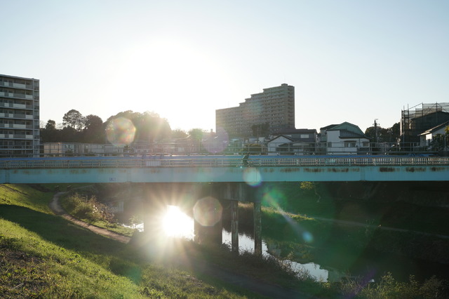 『平場の月』©2025映画「平場の月」製作委員会