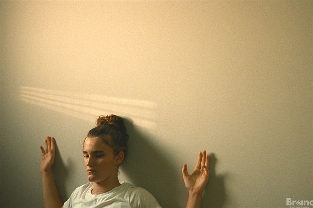 (C)2024, DE WERELDVREDE