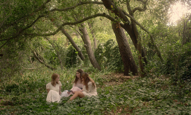 『ハム・オン・ライ』