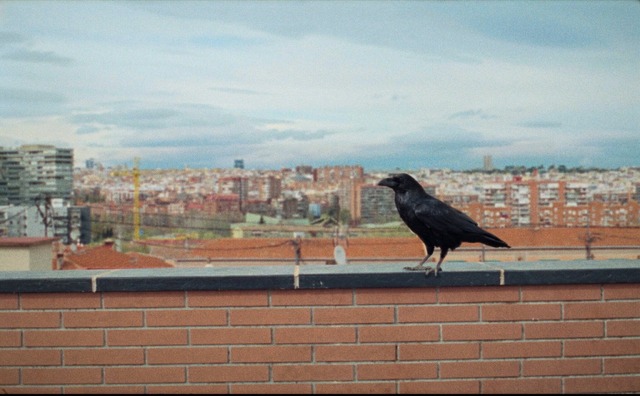 『サムシング・ハプンズ・トゥ・ミー』©UNA PRODUCCIÓN DE QUE NADIE DUERMA AIE - AVANPOST