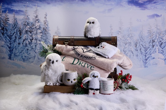 「ワーナー ブラザース スタジオツアー東京 – メイキング・オブ・ ハリー・ポッター」