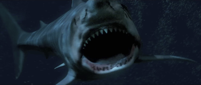 『シャークゾーン』© 2025 Acme Holding Company, LLC.