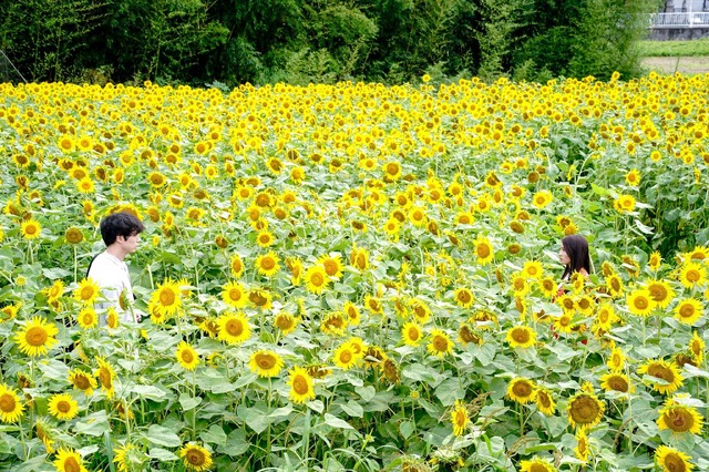 『盤上の向日葵』©2025映画「盤上の向日葵」製作委員会