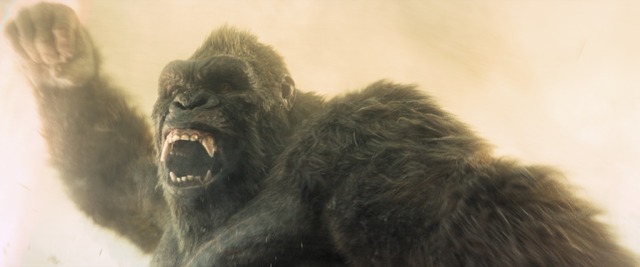 Apple TV「モナーク：レガシー・オブ・モンスターズ」シーズン2画像・映像提供 Apple TV