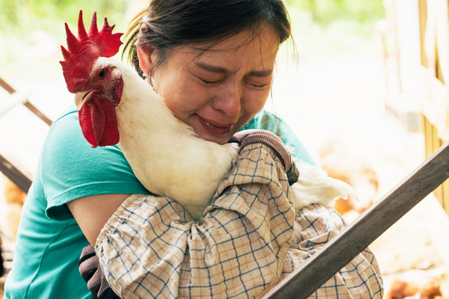 『サリー』© 2023 ENLA Media Limited, The Graduate Co., Ltd., Bole Film Co., Ltd. and Lien Chien Hung All Rights Reserved