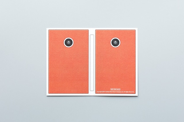 『her／世界でひとつの彼女』“彼女”のデバイス型カード