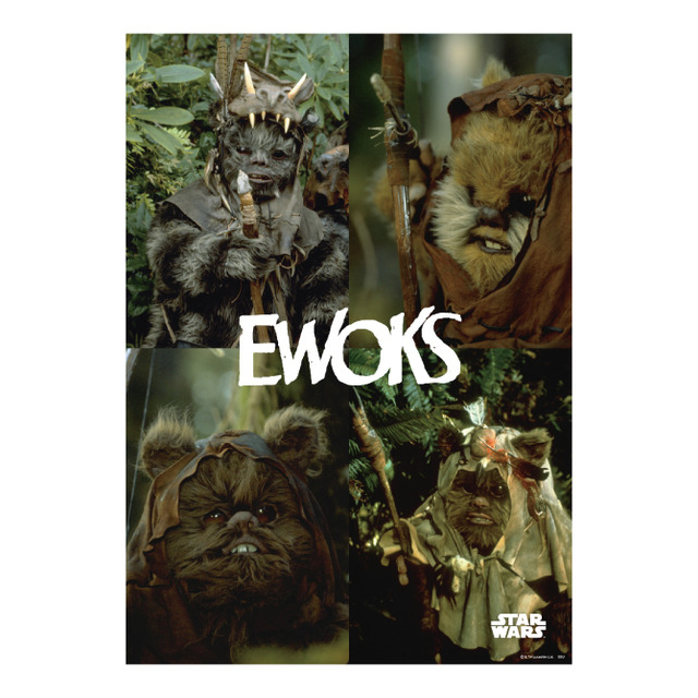 H賞：ポスター【全10種】／© & ™ Lucasfilm Ltd.