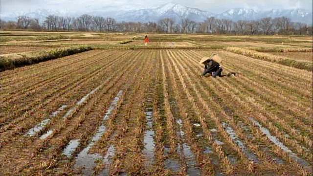 「SK-II」／TVCM「発見～クリアな素肌の秘密～」