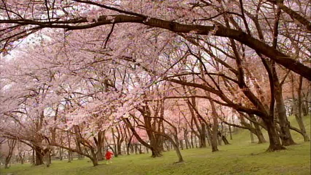 「SK-II」／TVCM「発見～クリアな素肌の秘密～」