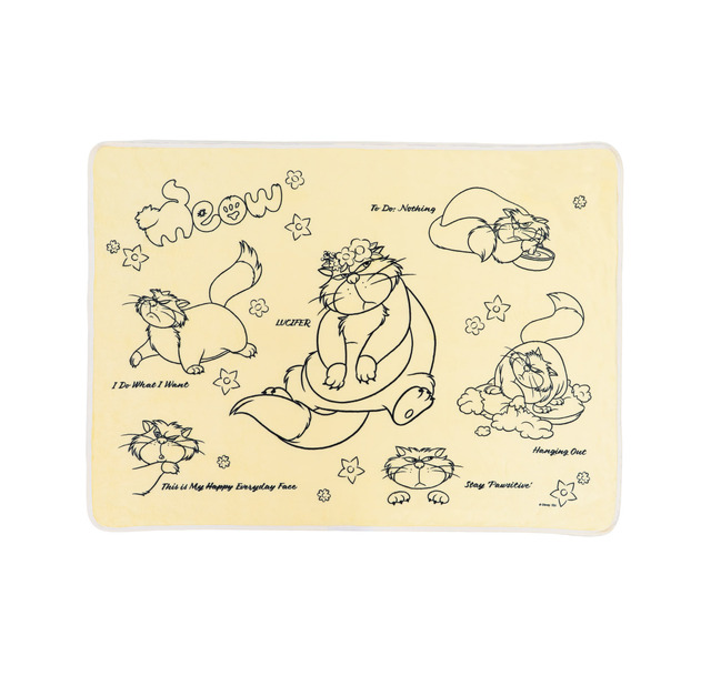 LAST賞 ぬいぐるみ付きブランケット©Disney