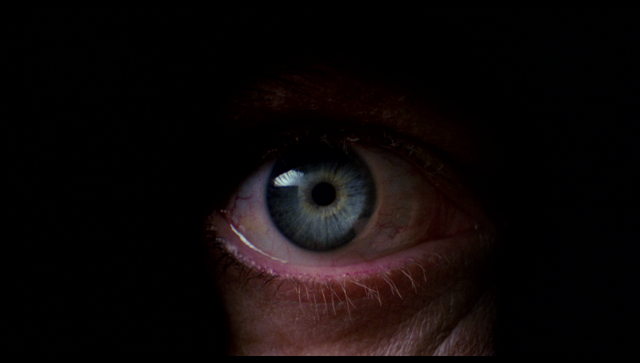 『悪夢の系譜【4Kデジタル修復版】』© 1982 Film House/SIS Productions