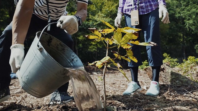 ドキュメンタリー映画『WITH』©2026 映画「WITH」製作委員会