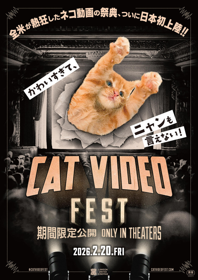 『CatVideoFest』