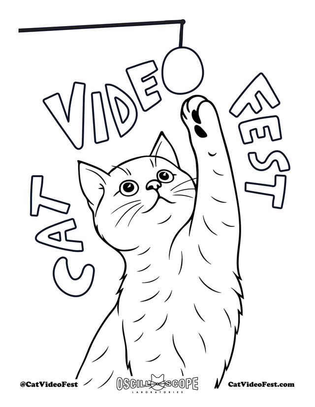 『CatVideoFest』