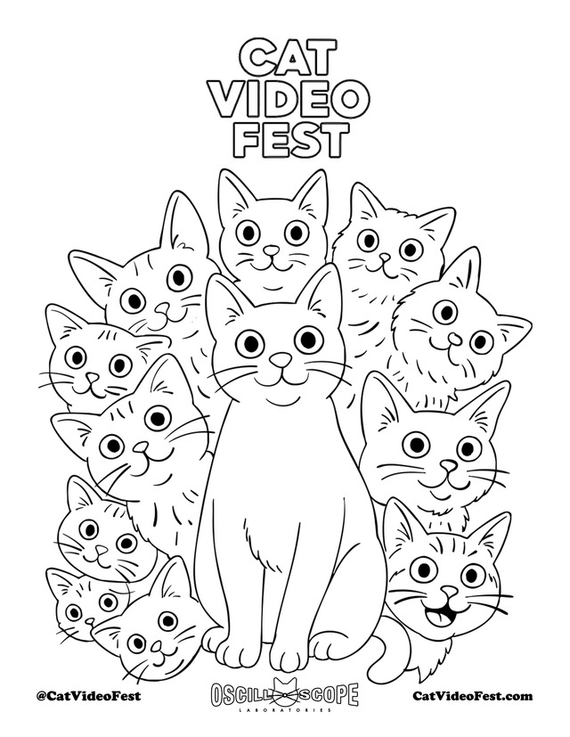 『CatVideoFest』