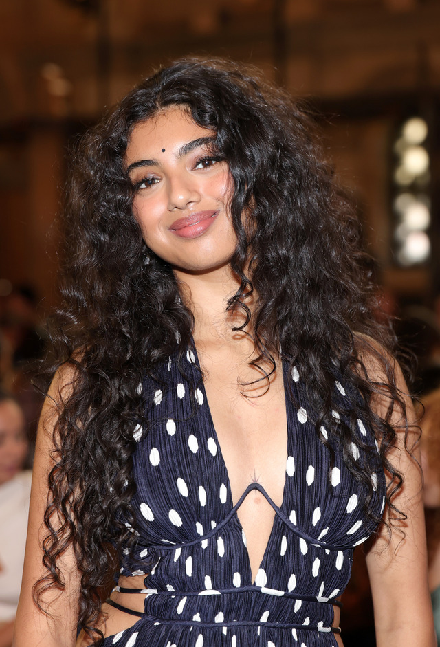 アヴァンティカPhoto by Michael Loccisano/Getty Images