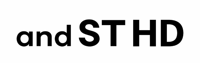 アンドエスティHDグループ