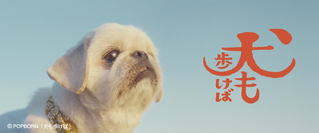 『犬も歩けば』