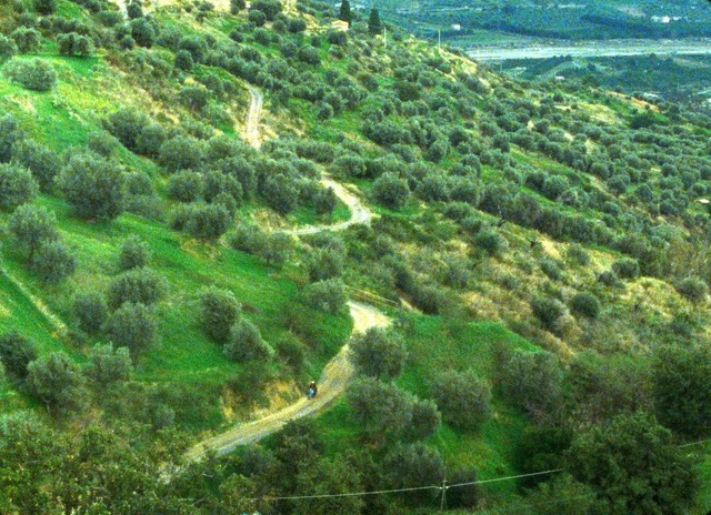 『おくりもの　4Kレストア版』(C) Santamira - Coop. CA.RI.NA.