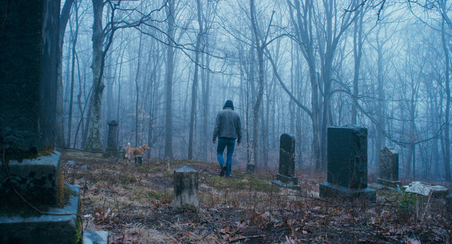 『GOOD BOY／グッド・ボーイ』© 2025 Whats Wrong With Your Dog, LLC. All Rights Reserved.