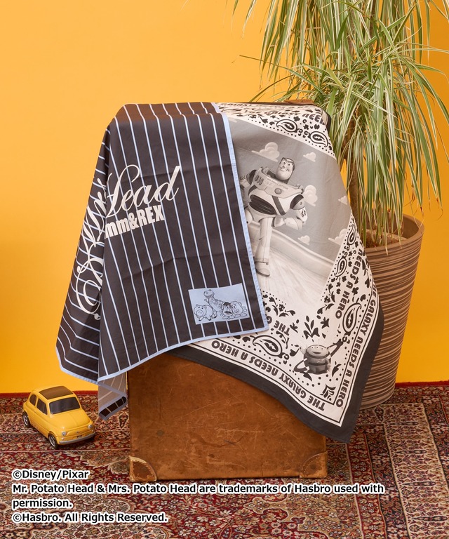 STRIPE CLUB Disney Collection『トイ・ストーリー５』©2025 Disney/Pixar.