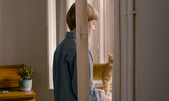 『ストレンジ・リトル・キャット』© Deutsche Film- und Fernsehakademie Berlin 2013