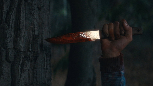 「クリスタル・レイク（原題：Crystal Lake）」©APOLLO