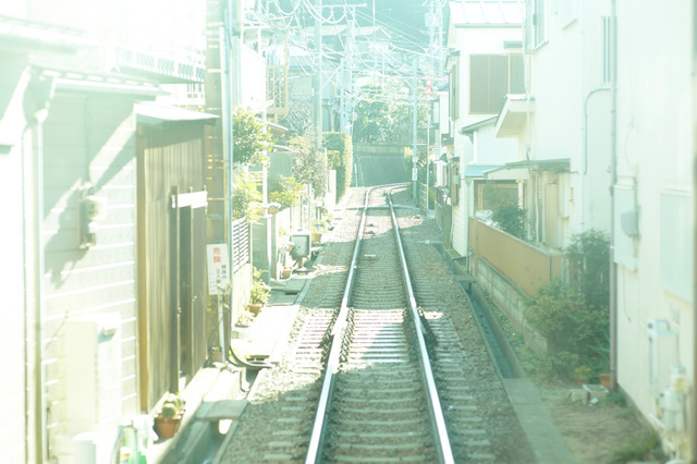 『陽だまりの彼女』 -(C) 2013『陽だまりの彼女』製作委員会