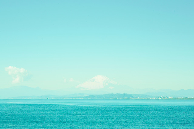 『陽だまりの彼女』 -(C) 2013『陽だまりの彼女』製作委員会