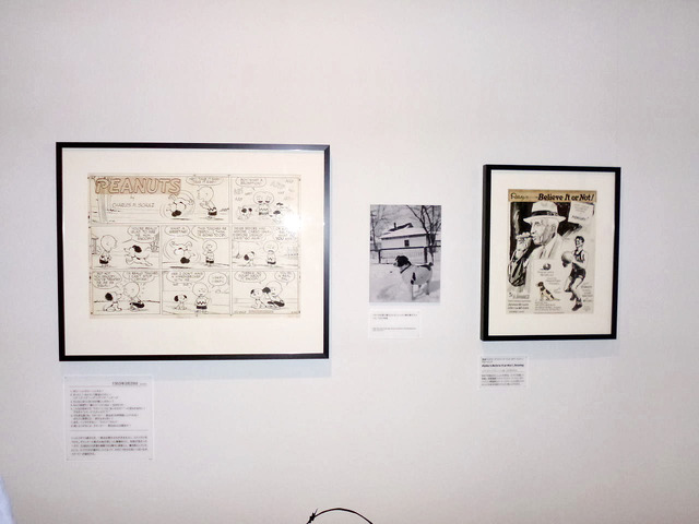 「スヌーピー展 しあわせは、きみをもっと知ること。Ever and Never: the art of PEANUTS」-(C) 2013 PNTS