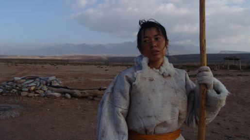 『トゥヤーの結婚』