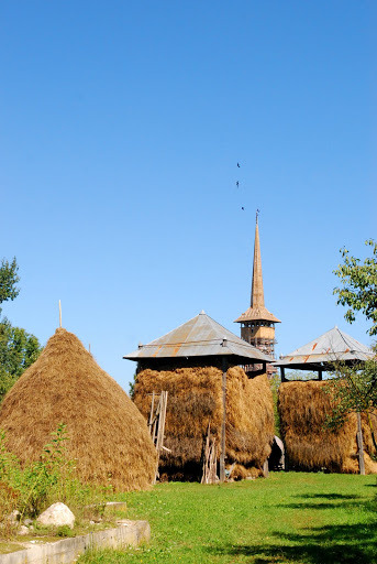 NHK総合テレビ「地球イチバン」ルーマニア篇